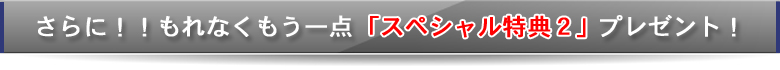 さらに！！もれなくもう一点スペシャル特典２プレゼント！